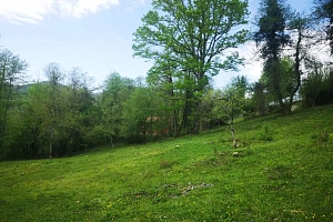 Земельный участок под частную резиденцию или ...