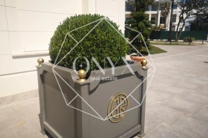 Изображение 11