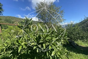 Изображение 8