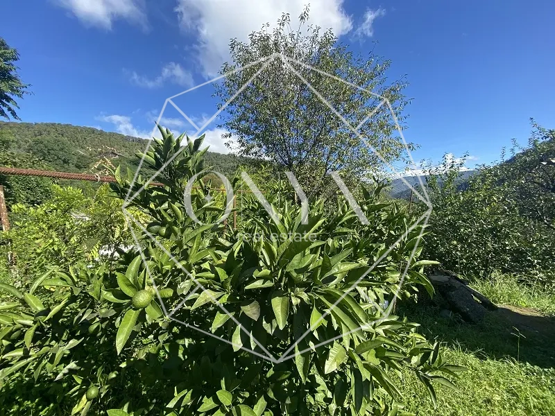 Изображение 8