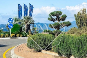 Изображение 14