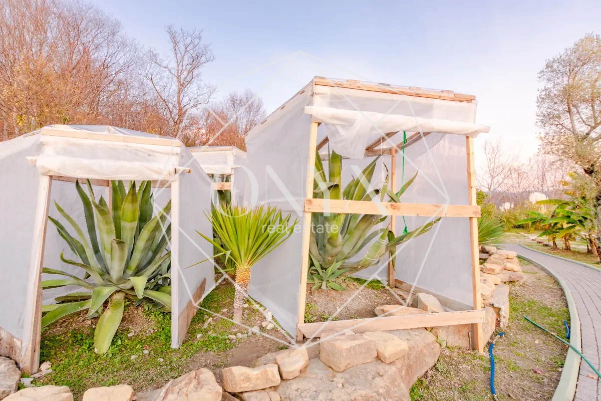 Изображение 19