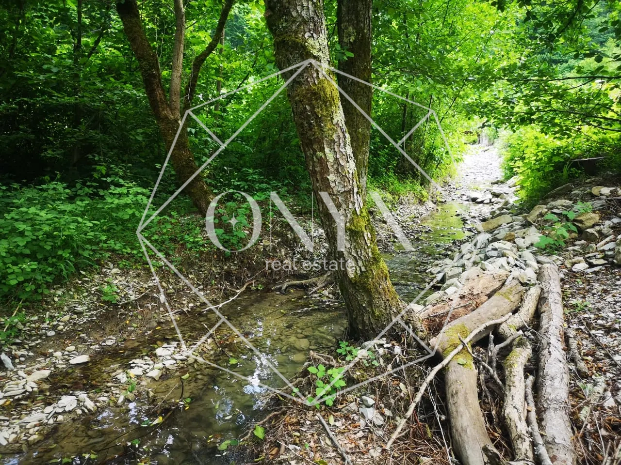 Изображение 16