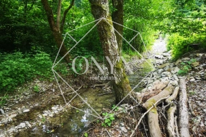 Изображение 16