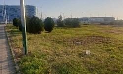 Участок в центре Олимпийского парка