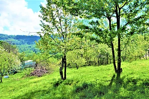 Шикарный участок утопающий в зелени