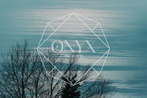 Изображение 91