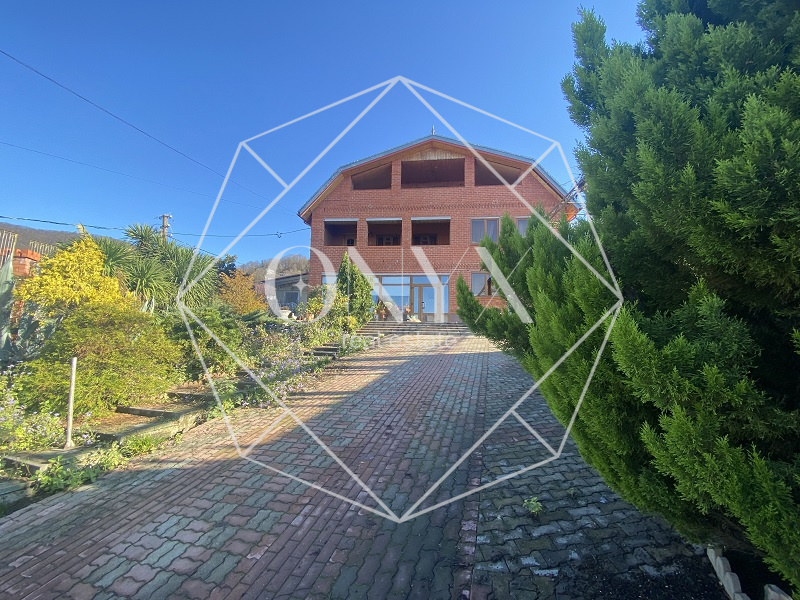 Изображение 12