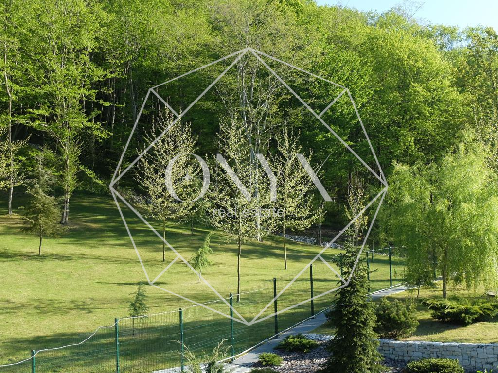 Изображение 10