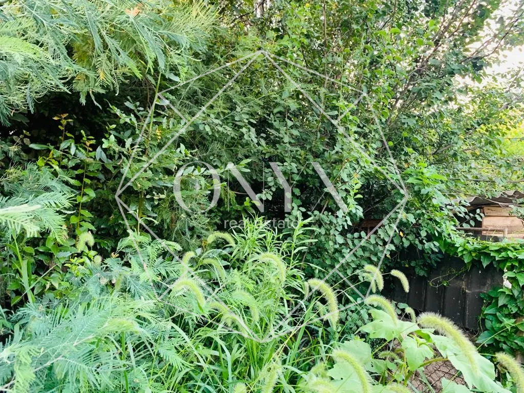 Изображение 17