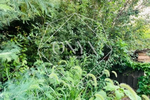 Изображение 17