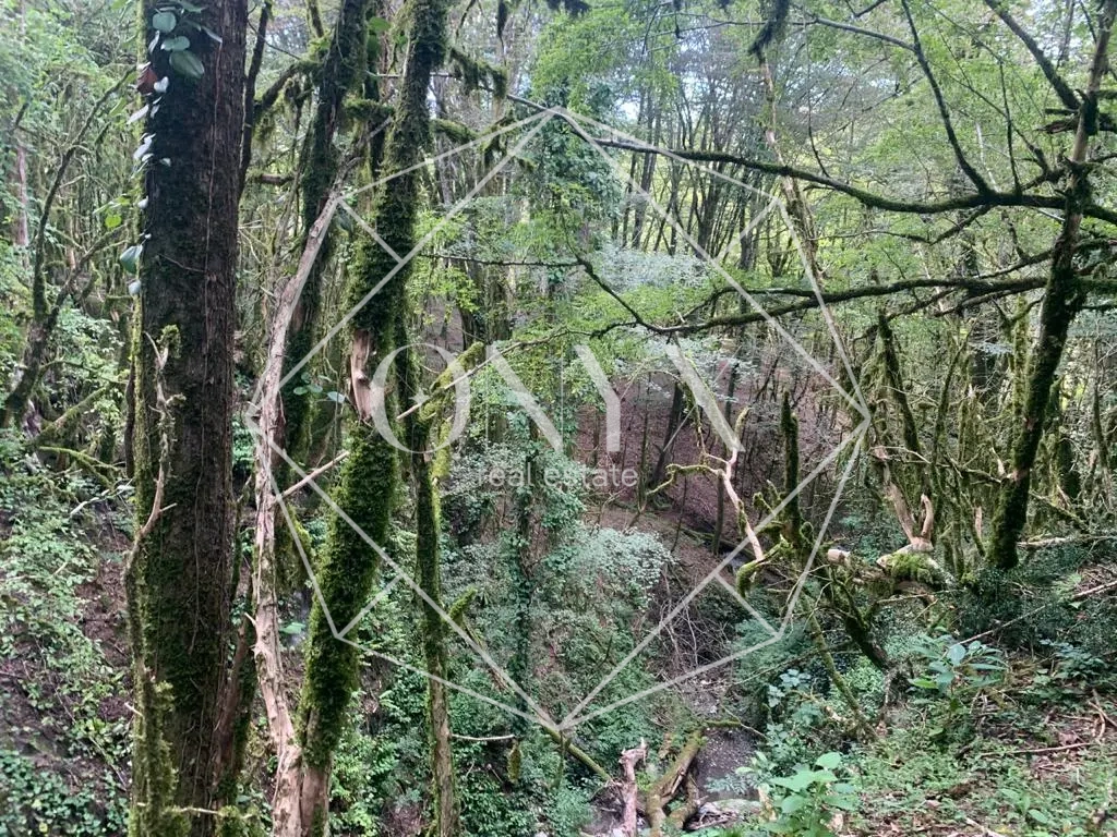 Изображение 13