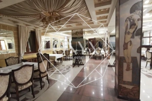 Изображение 12