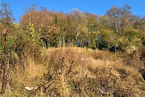 ВИДОВОЙ УЧАСТОК