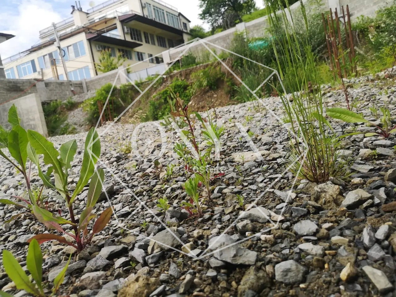 Изображение 11