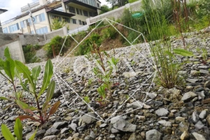 Изображение 11