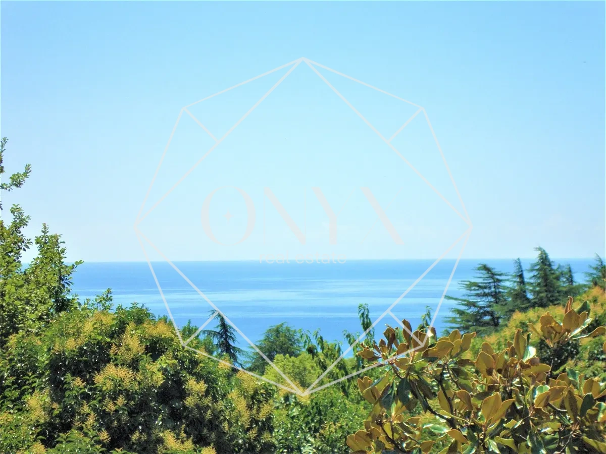 Изображение 13