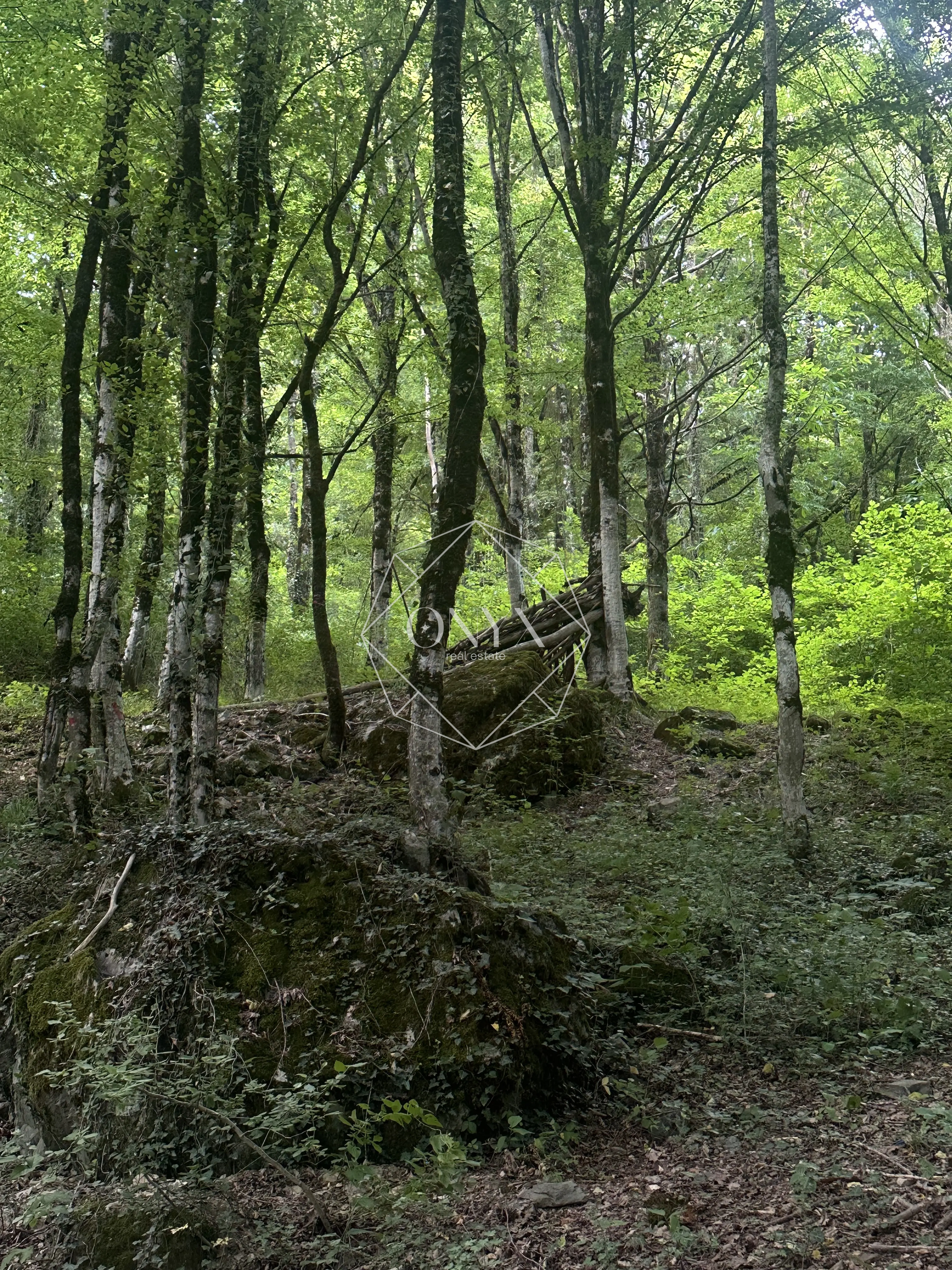 Изображение 9