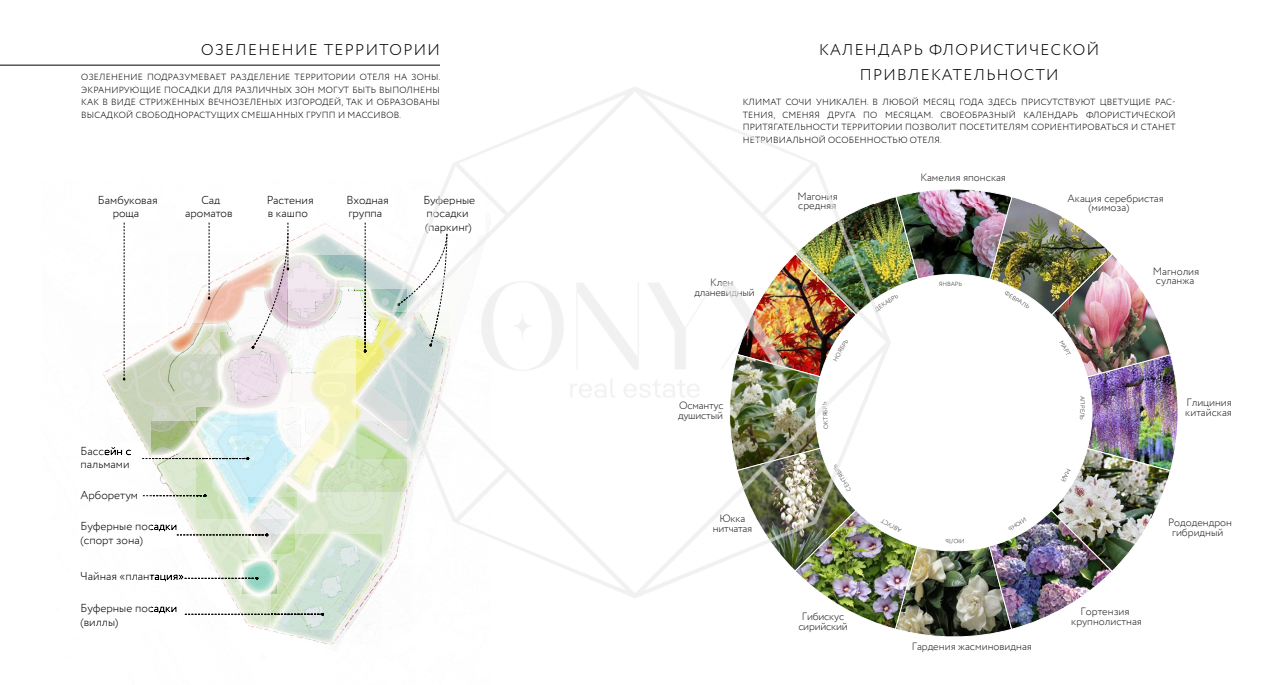 Изображение 12