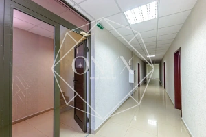 Изображение 12