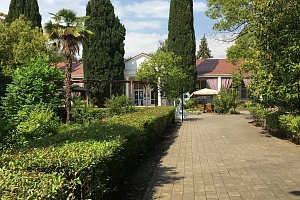 Отель 3*, утопающий в зелени. 