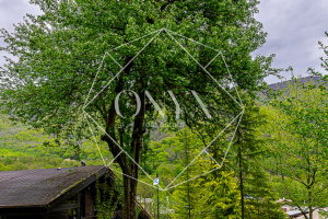 Изображение 25