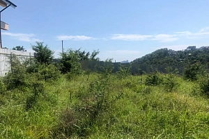 Прекрасный участок, с развитой инфаструктурой