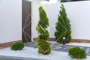 Изображение 6