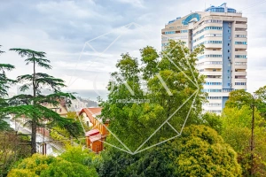 Изображение 13