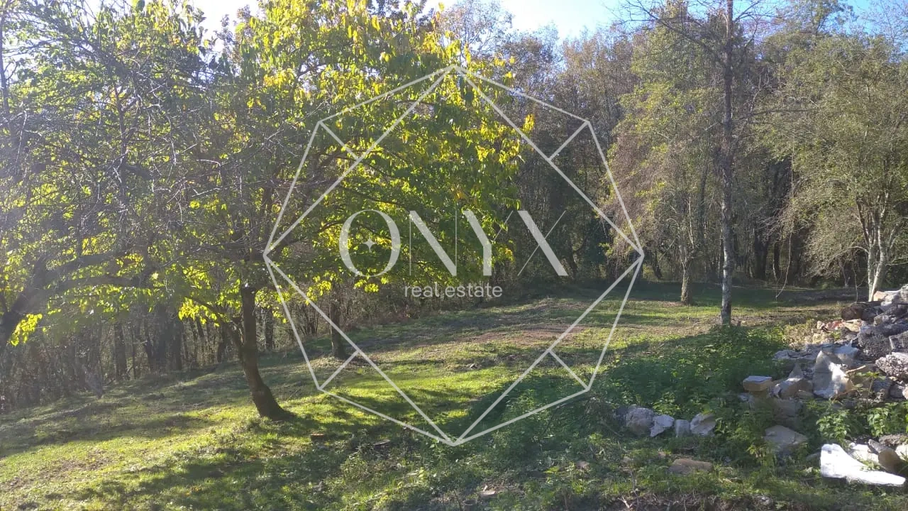 Изображение 8