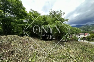 Изображение 12