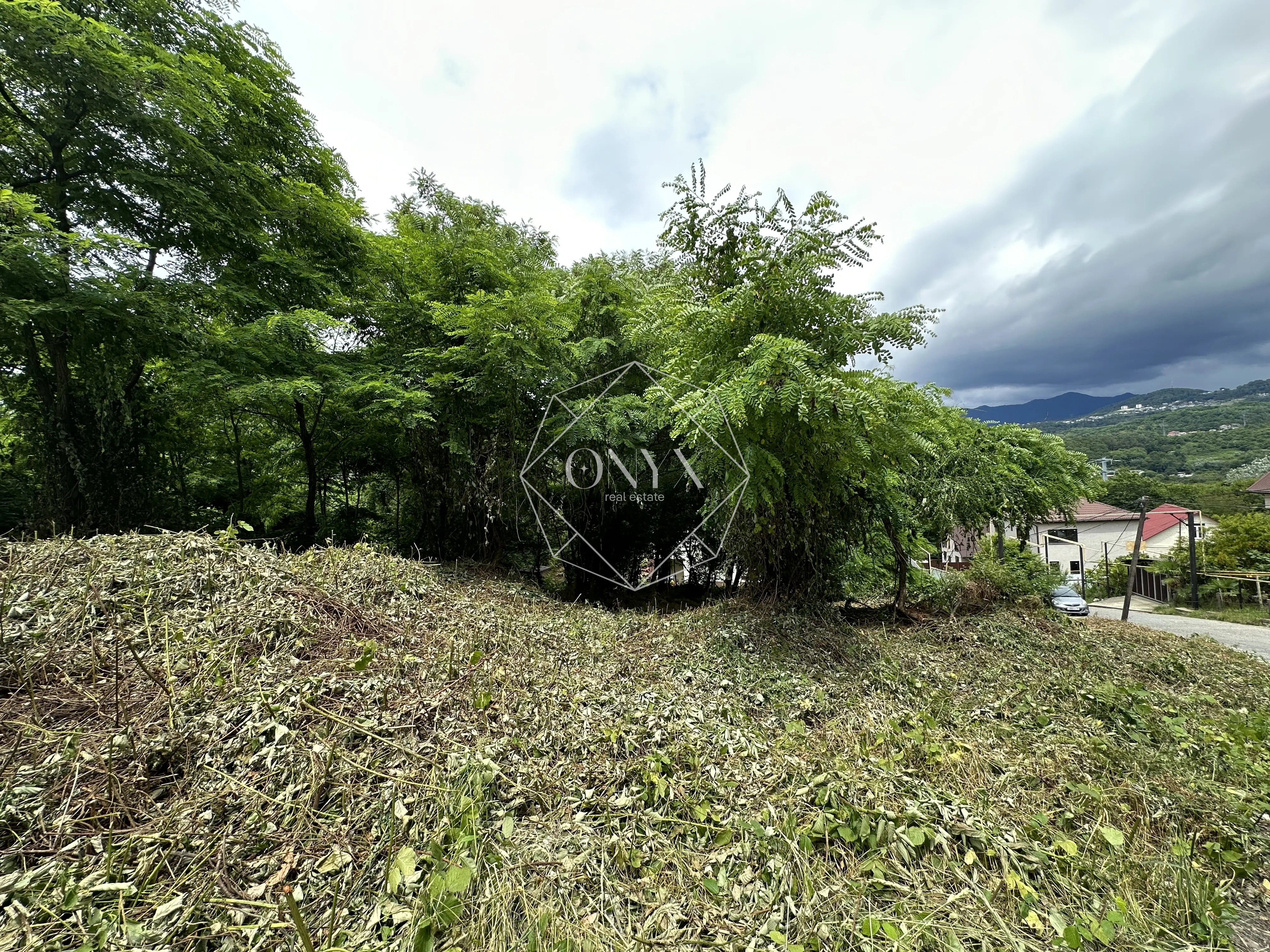 Изображение 12