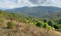 Продам земельный участок в Сергей Поле