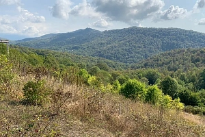 Продам земельный участок в Сергей Поле