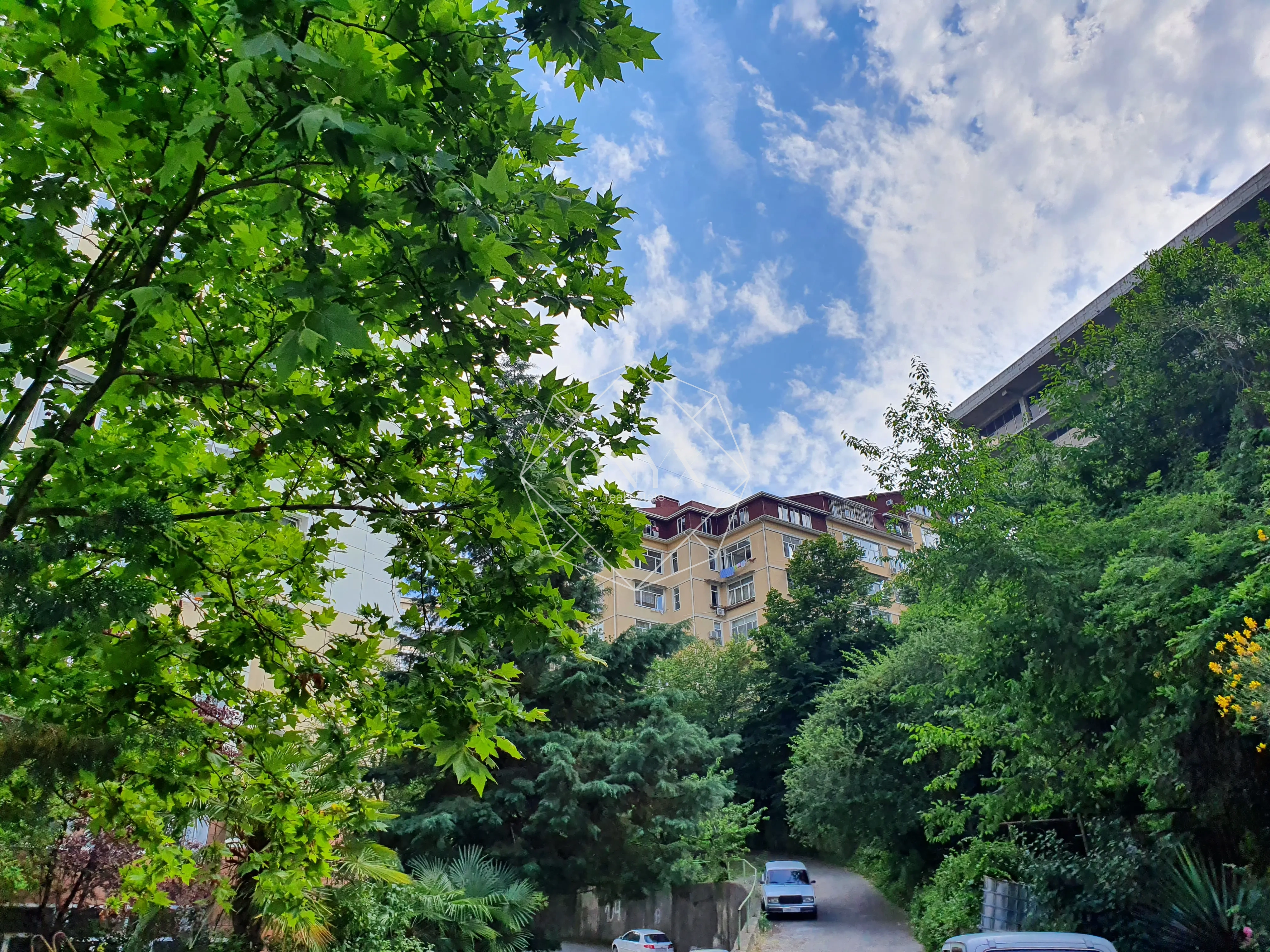 Изображение 10