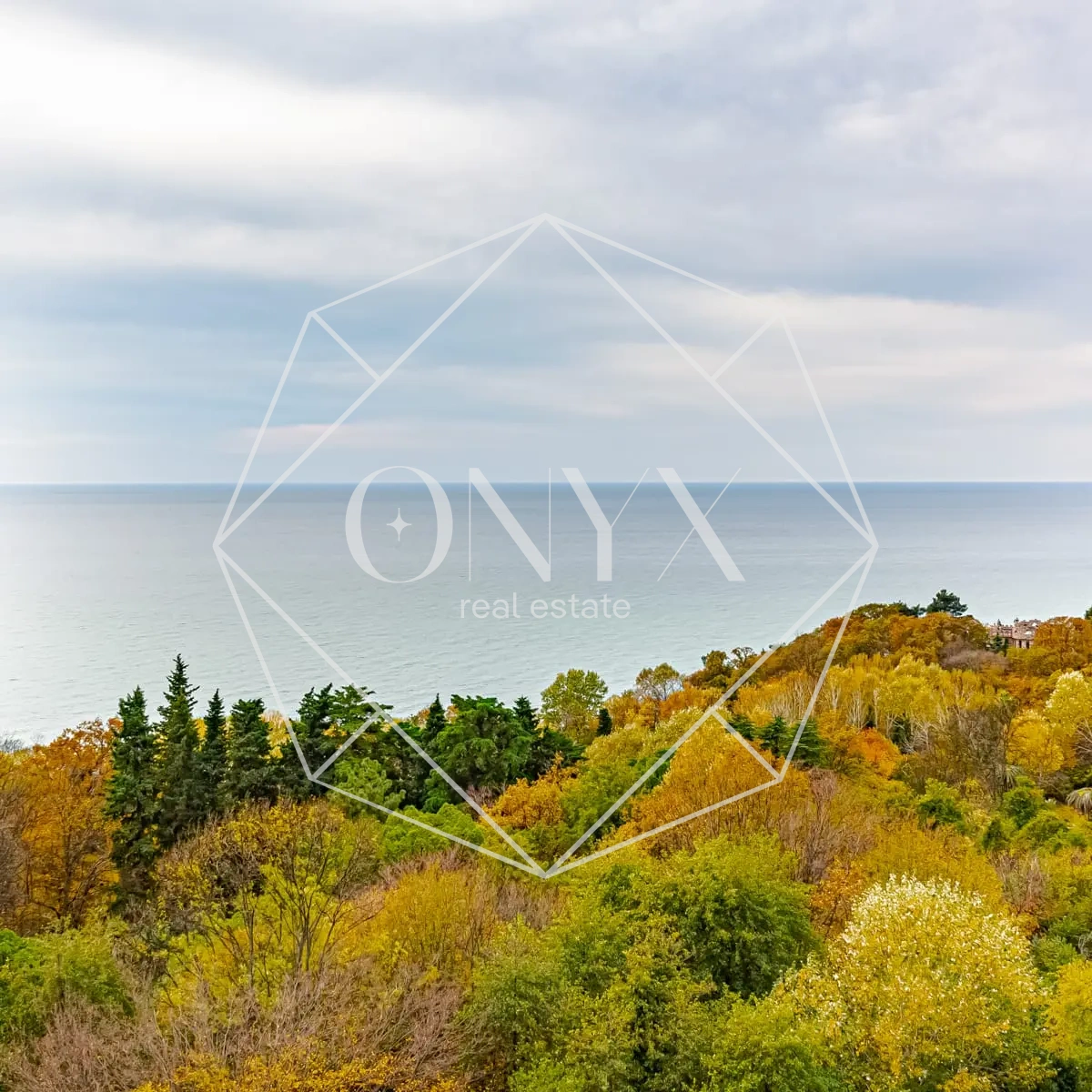 Изображение 12