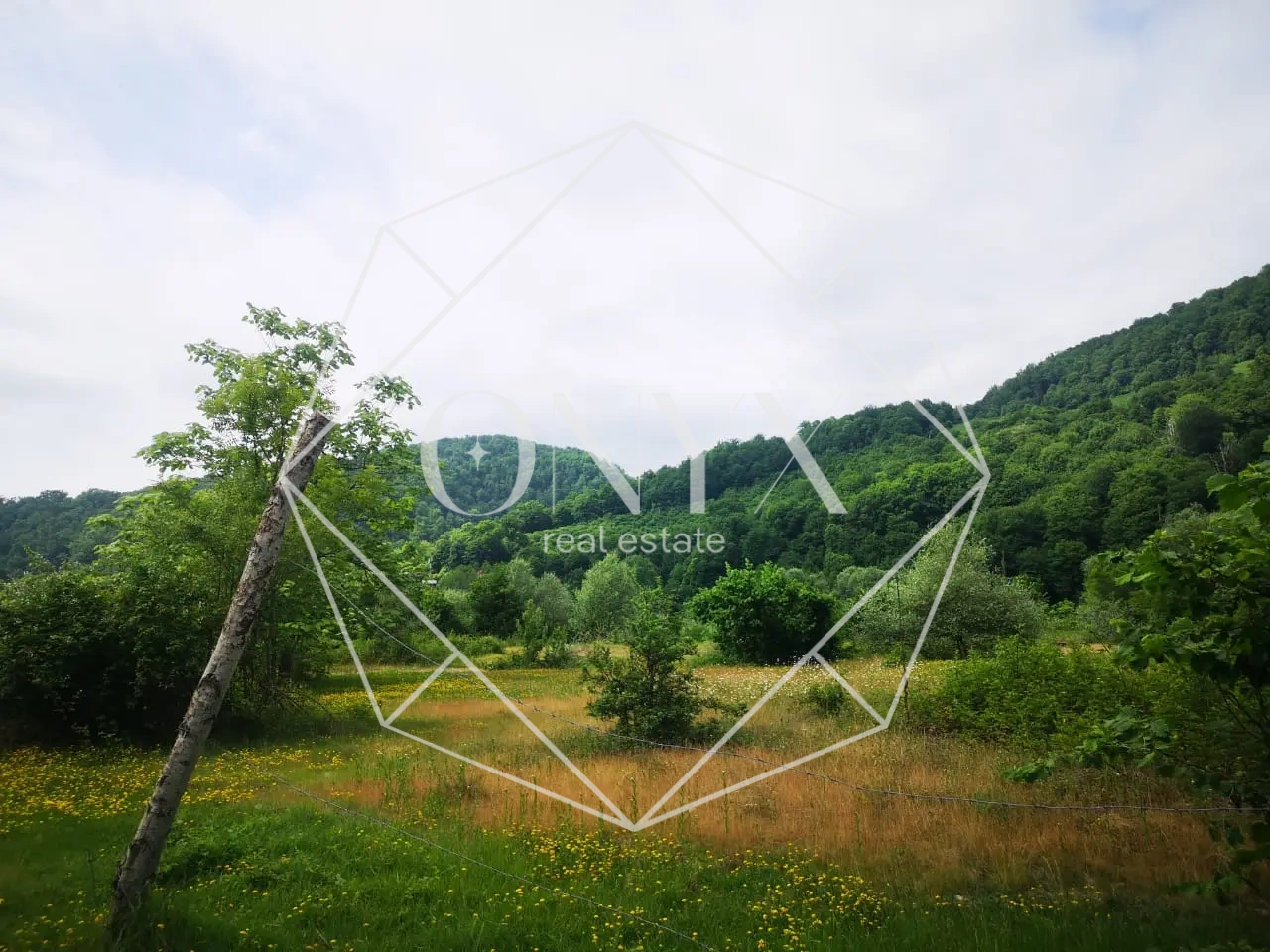 Изображение 11