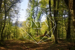 Изображение 20