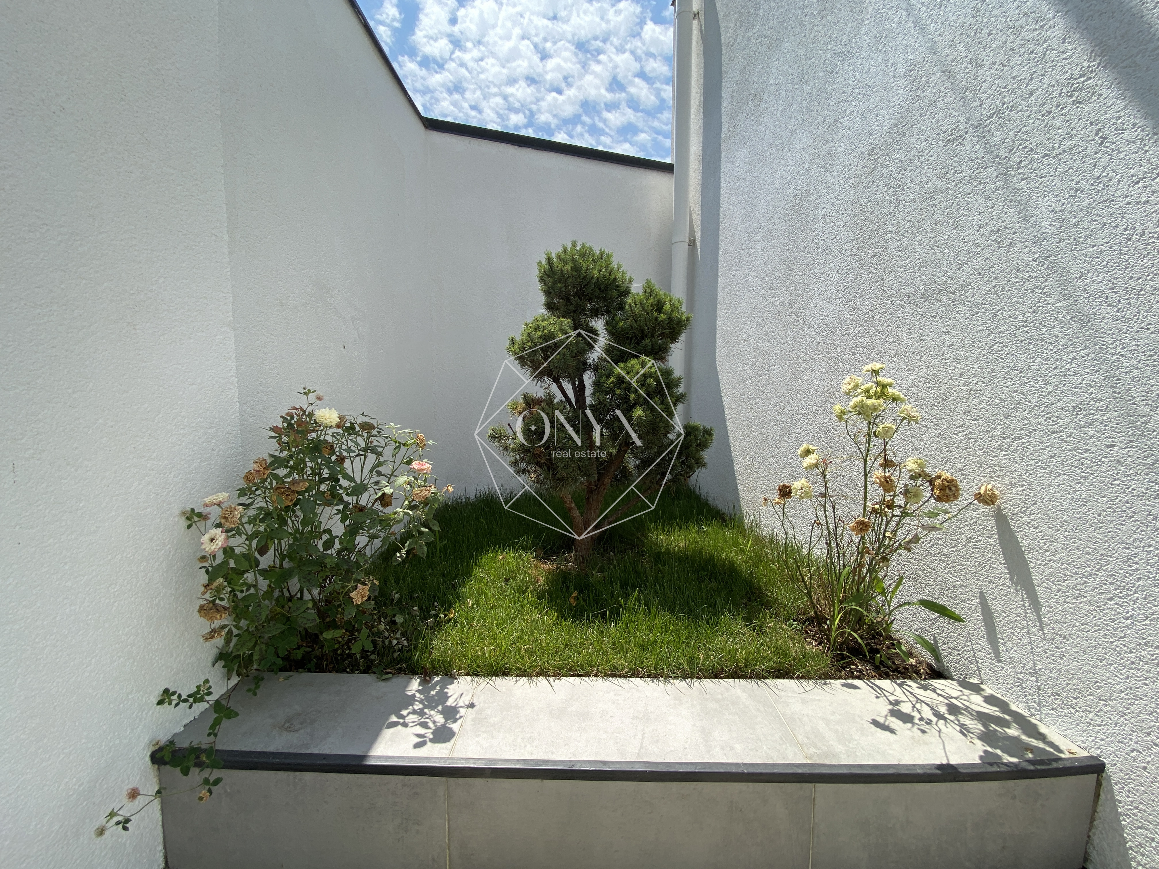 Изображение 20