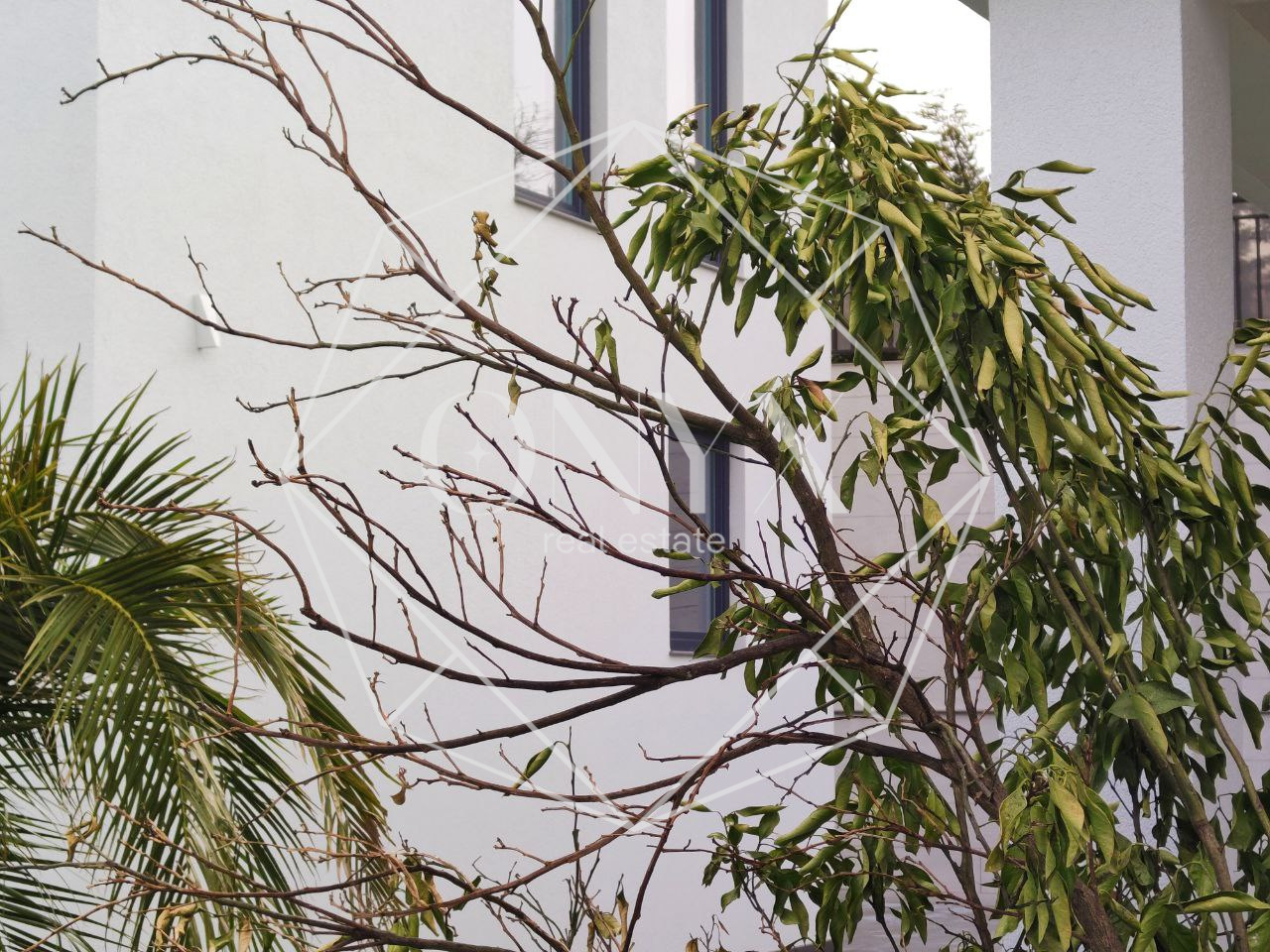 Изображение 35