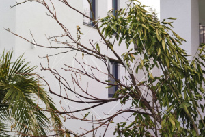 Изображение 35