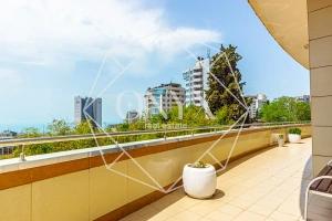 Изображение 12