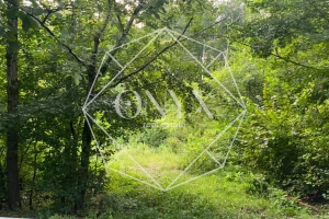 Изображение 7