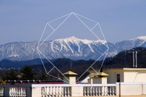 Изображение 11