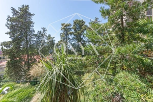 Изображение 23