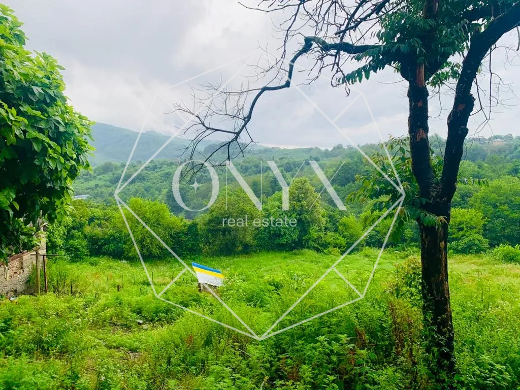 Изображение 9