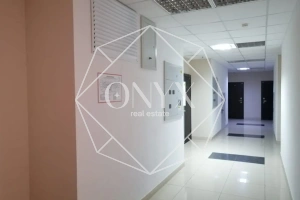 Изображение 13