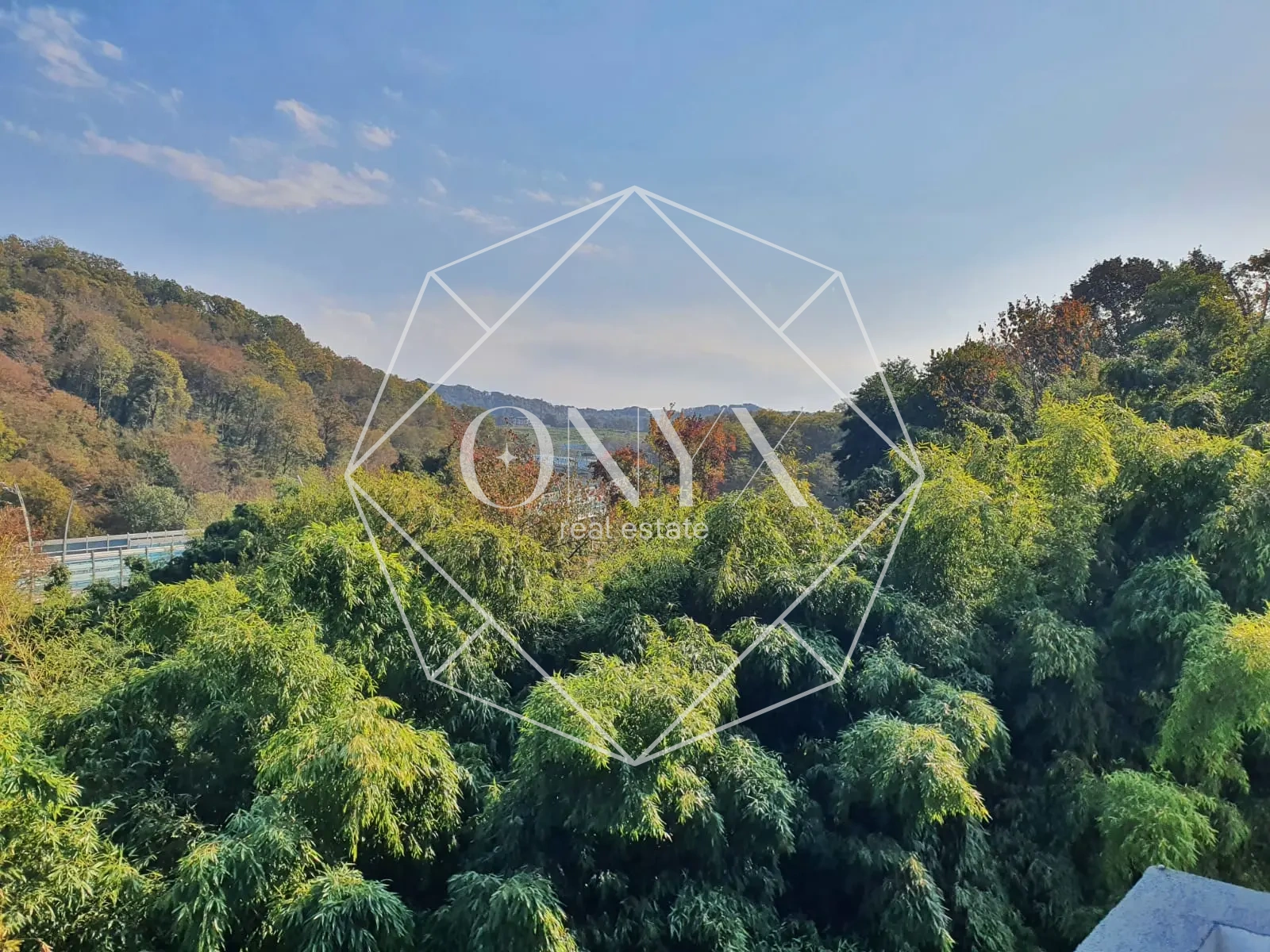 Изображение 18