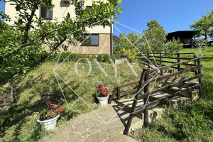 Изображение 17