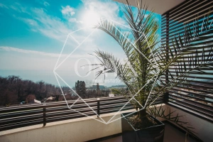 Изображение 31